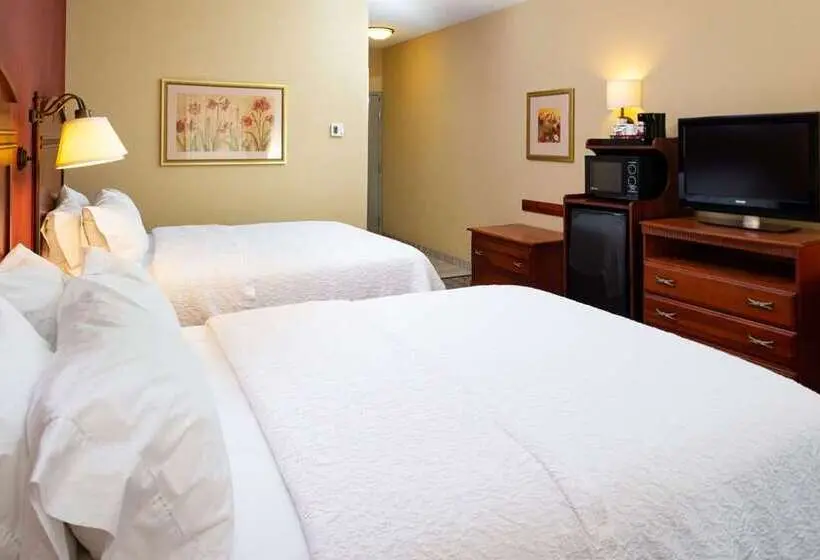 ホテル Hampton Inn Kansas City Northeast