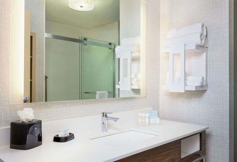 فندق Hampton Inn Omaha West Lakeside