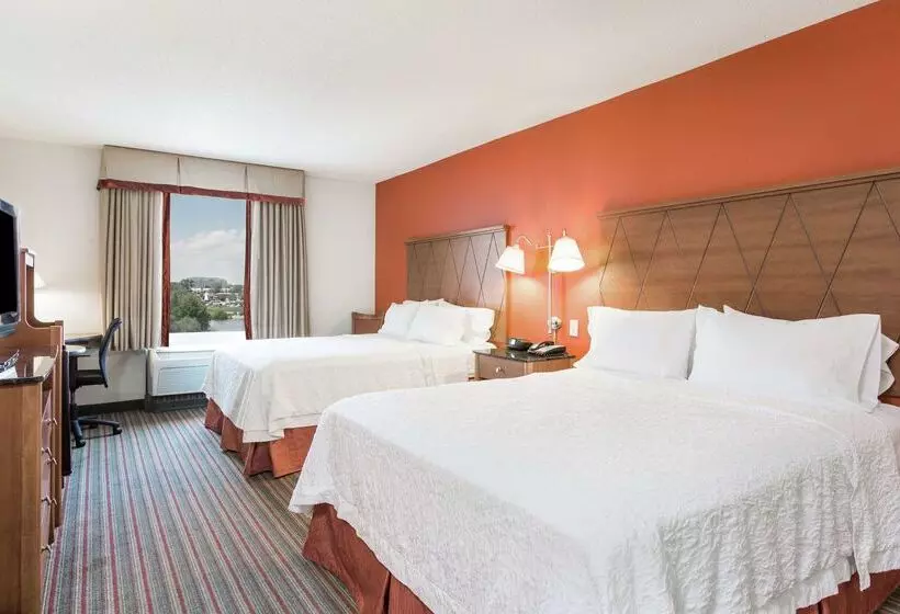 هتل Hampton Inn Petersburg Southpark Mall