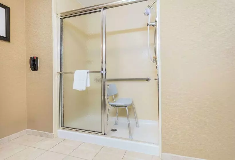 هتل Hampton Inn Petersburg Southpark Mall