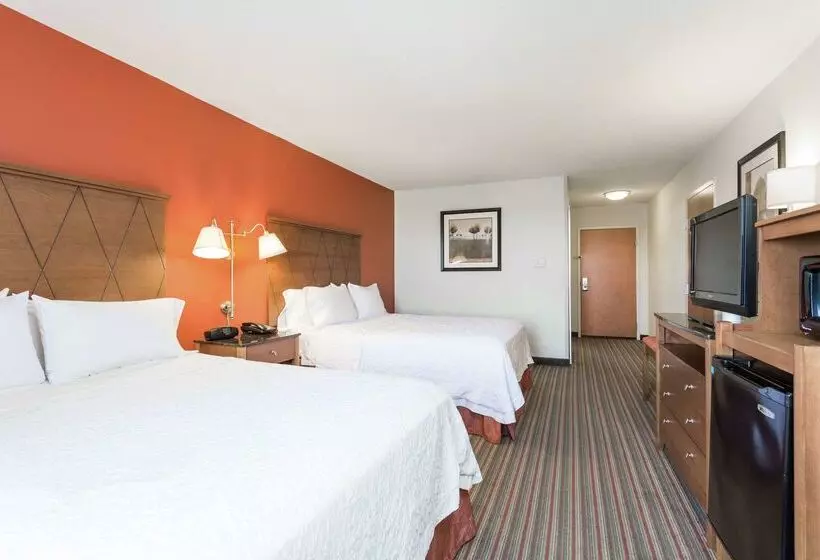 هتل Hampton Inn Petersburg Southpark Mall