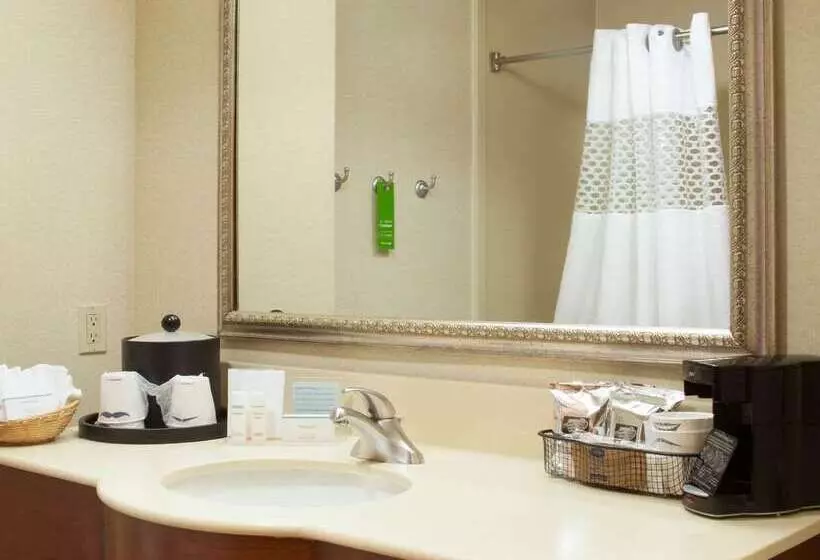 호텔 Hampton Inn & Suites Brownsville