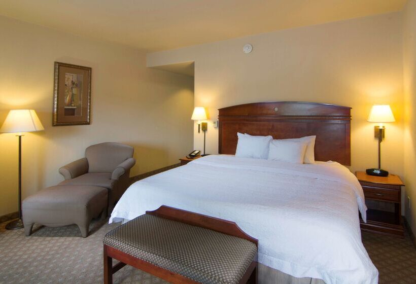 هتل Hampton Inn & Suites Brownsville