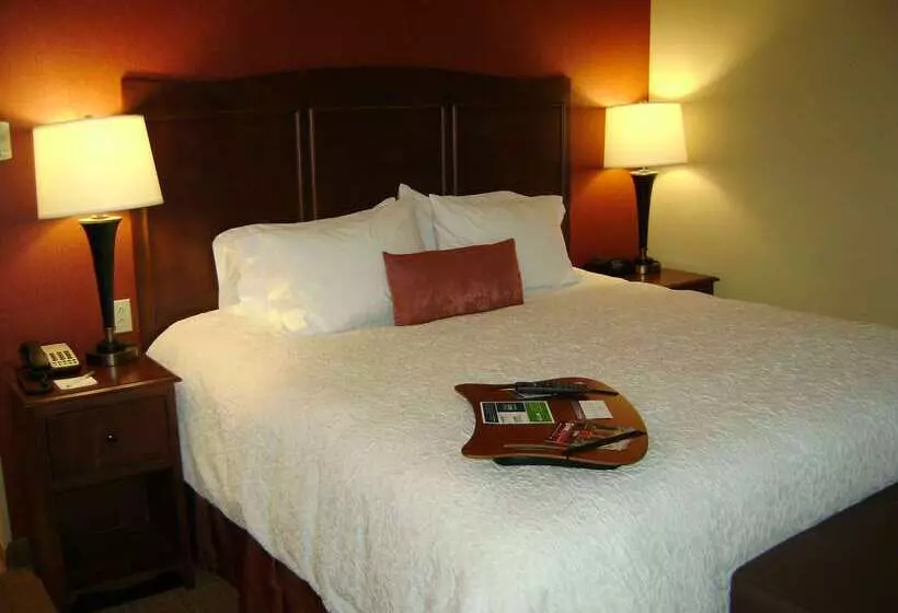 هتل Hampton Inn & Suites St. Louis/south I55