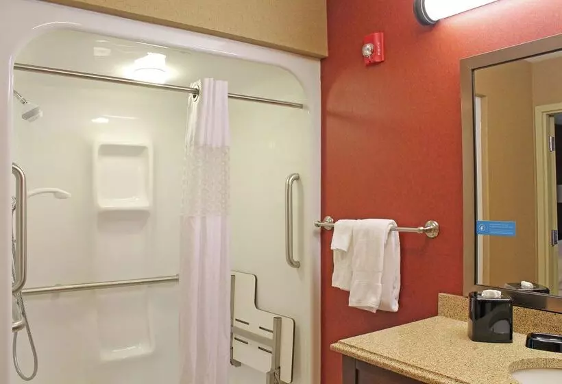 هتل Hampton Inn & Suites St. Louis/south I55