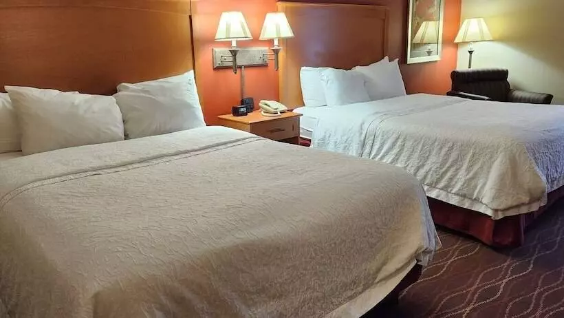 هتل Hampton Inn Twin Falls Id