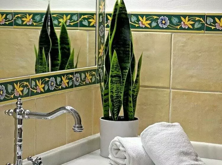 هتل Itaca Sevilla By Soho Boutique