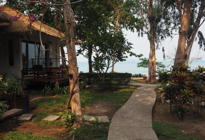 ホテル Larissa Samed Resort