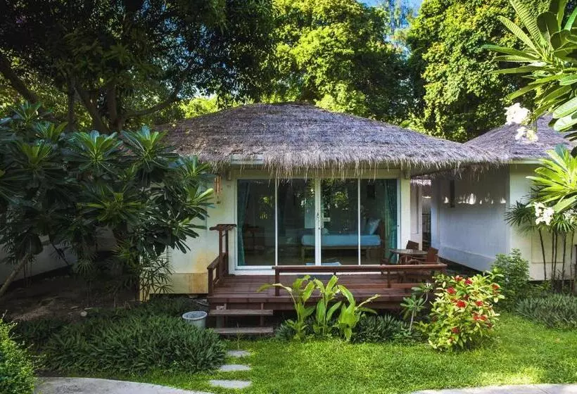 ホテル Larissa Samed Resort