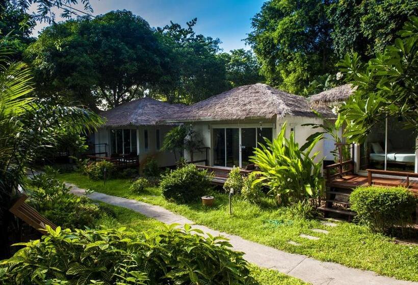 ホテル Larissa Samed Resort