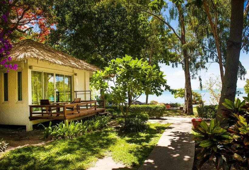 ホテル Larissa Samed Resort