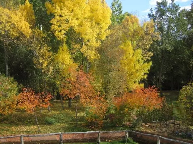 Отель Molino De La Ferrería