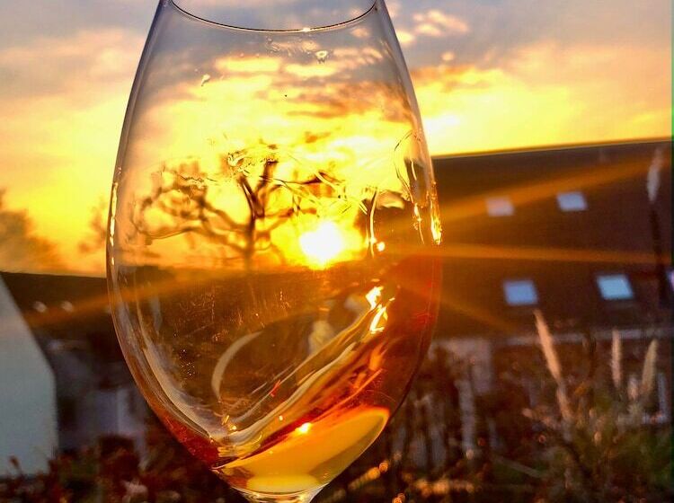 Montana Hotel Köln Bonn Airport