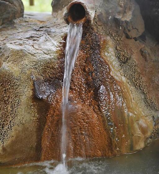 Otel 森の雫rin Morinoshizukurin