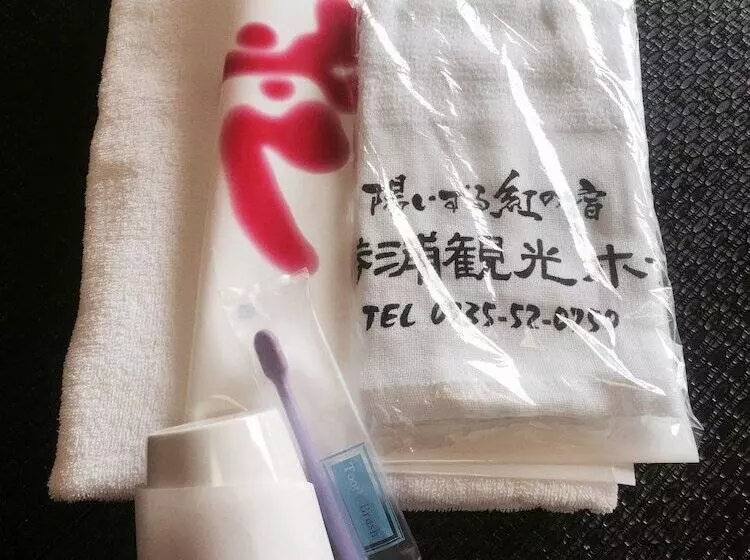 Отель Hiizurukurenainoyado Katsuurakanko