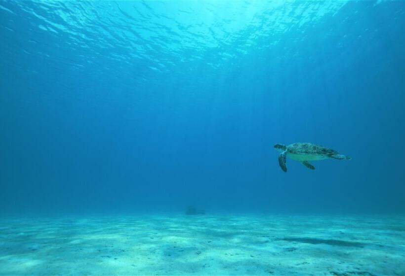 ホテル Kerama Beach