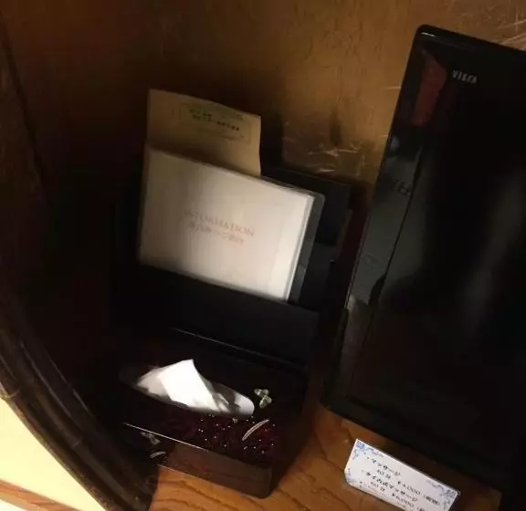 Отель Yamashiro Onsen Yuzankaku