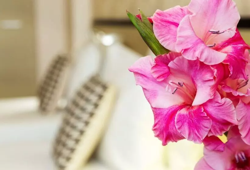 City Avenue Hotel By Hmg Free Parking Free Wi Fi