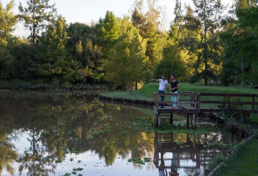 בית מלון כפרי Delta Eco