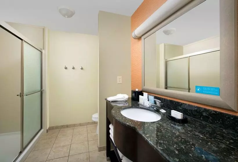 호텔 Hampton Inn Lenoir City