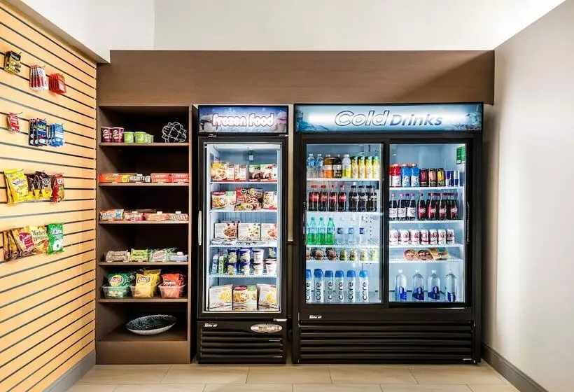 호텔 Holiday Inn Express & Suites Charlotte Arpt Belmont, An Ihg