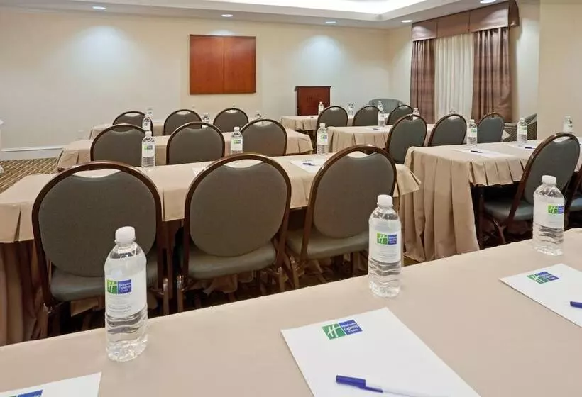 酒店 Holiday Inn Express & Suites Waxahachie, An Ihg