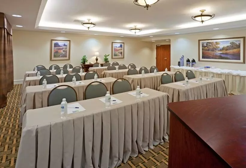 酒店 Holiday Inn Express & Suites Waxahachie, An Ihg