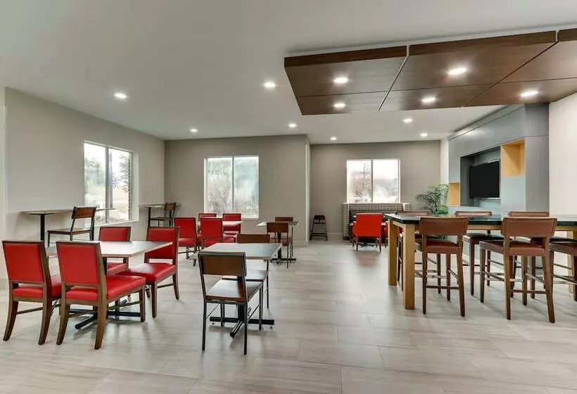 酒店 Holiday Inn Express & Suites Waxahachie, An Ihg