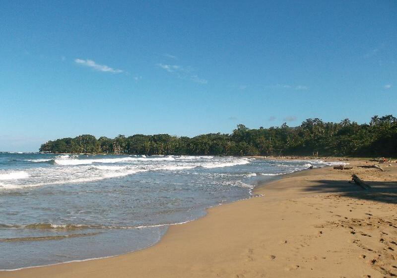 هتل Le Cameleon Boutique