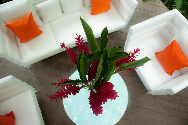 فندق Le Cameleon Boutique