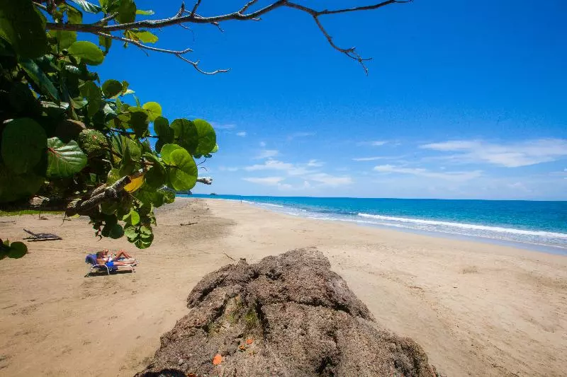 فندق Le Cameleon Boutique