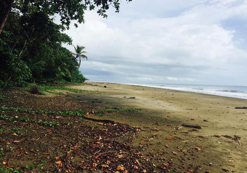 هتل Le Cameleon Boutique