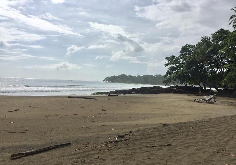 هتل Le Cameleon Boutique