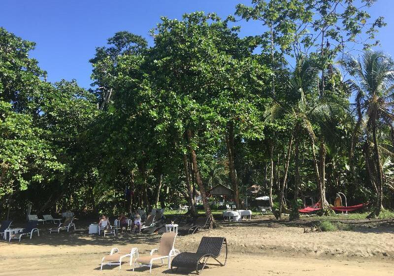 هتل Le Cameleon Boutique