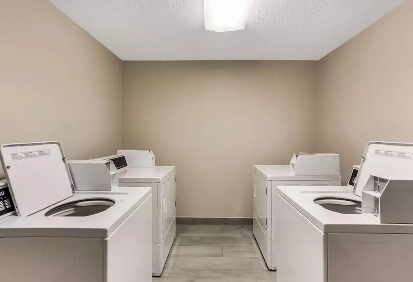 호텔 Mainstay Suites Bourbonnais  Kankakee