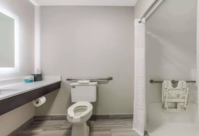 호텔 Mainstay Suites Bourbonnais  Kankakee