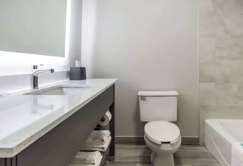 호텔 Mainstay Suites Bourbonnais  Kankakee