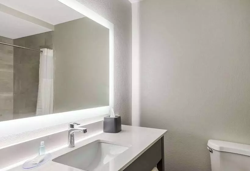 호텔 Mainstay Suites Bourbonnais  Kankakee