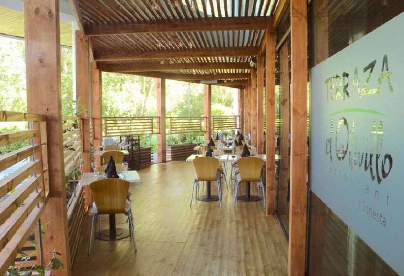 Sonesta Hotel Osorno