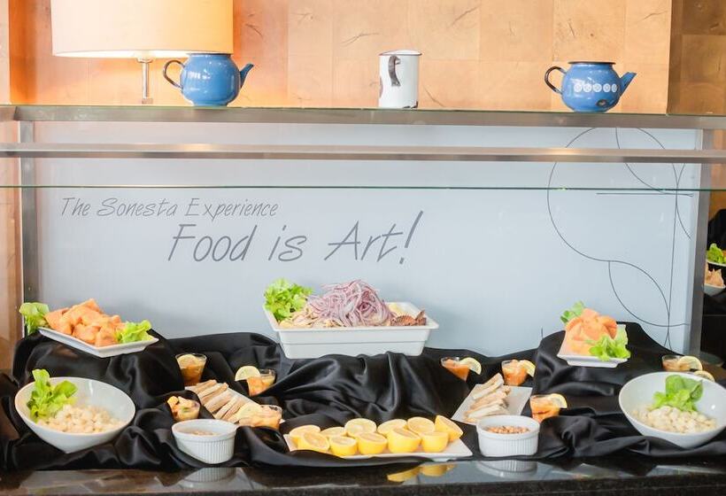 Sonesta Hotel Osorno