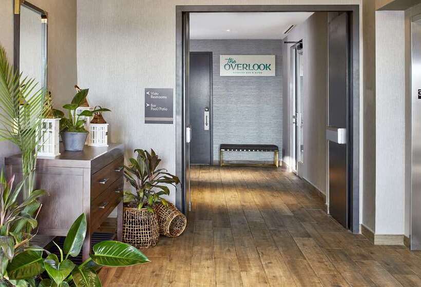 ホテル Embassy Suites By Hilton Nashville Downtown