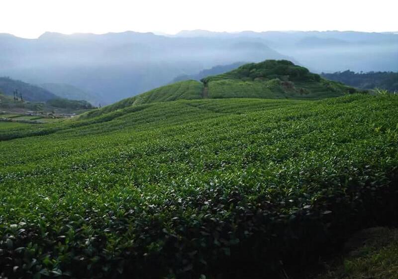 هتل Legend Village Homestay