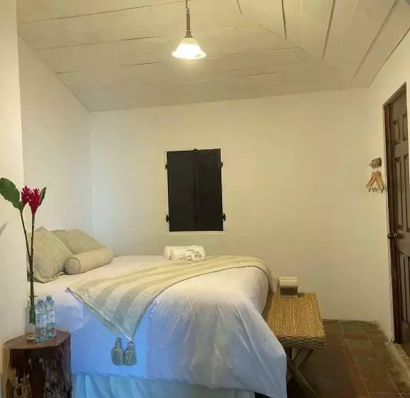 ホテル Casa 1800 Los Naranjos Boutique