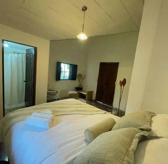 ホテル Casa 1800 Los Naranjos Boutique