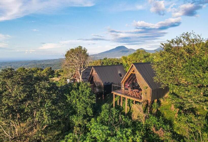 هتل Casa 1800 Los Naranjos Boutique