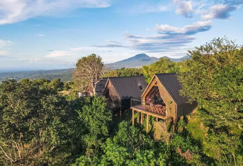 ホテル Casa 1800 Los Naranjos Boutique