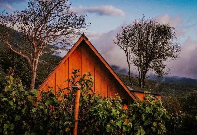 هتل Casa 1800 Los Naranjos Boutique