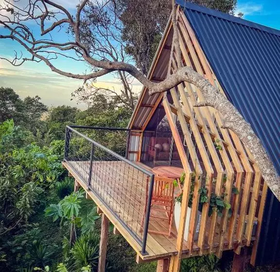 ホテル Casa 1800 Los Naranjos Boutique