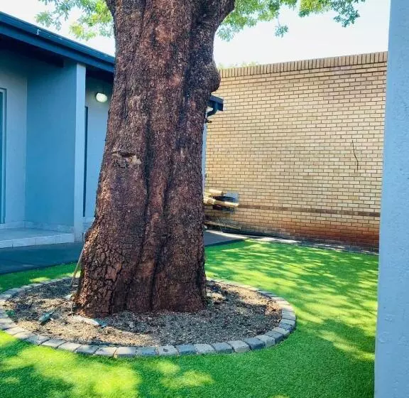 Majatalo President Guest Lodge