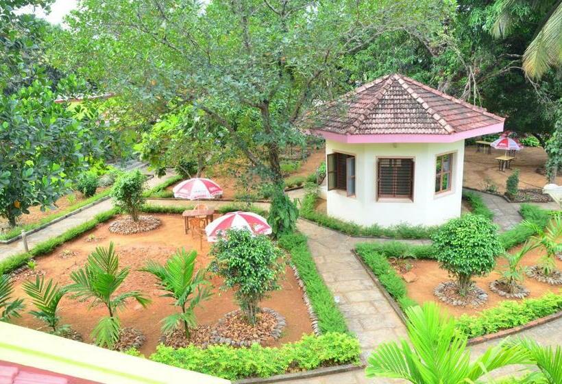 Staymaker Sunny S Serenity Resort